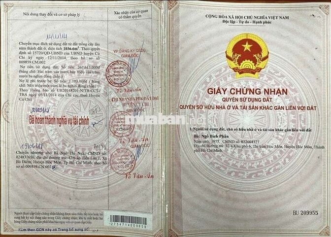 Bán dãy trọ đang thu nhập rất  cao Tân Thạnh Đông Củ Chi (cũ)