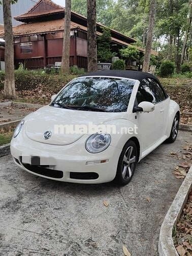 Volkswagen New Beetle mui trần