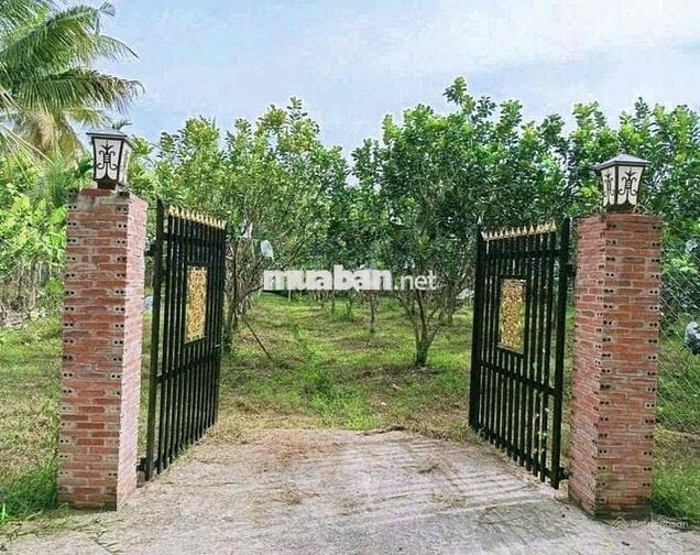 🌳 BÁN ĐẤT 2100m2 GIÁ 452TR TẠI MINH HƯNG – CHƠN THÀNH🌳