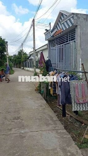 Bán đất Ấp Mới 2, đường Gò Hưu, xã Mỹ Hạnh Nam, Long An.