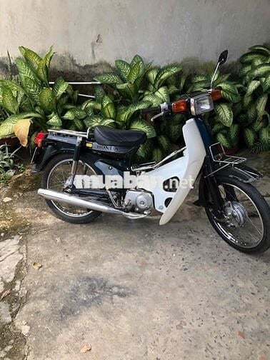 Cub 50  Nhật sinh đi học  có giao lưu xe khác