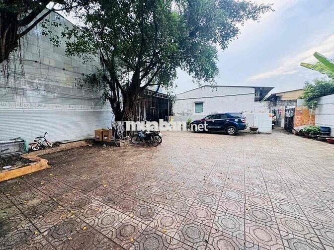 SIÊU VIP NGUYỄN THỊ THÍCH BÌNH CHIỂU – THỦ ĐỨC – 1.028M² (N26x40)