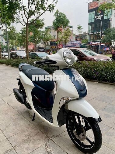 Janus  2020 bản limited