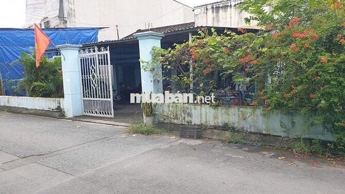 HOT- Bán gấp nhà vườn DT 16m*30m 1/Trần Văn Mười,gần chợ Đại Hải H-Môn