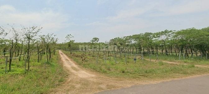 Đường DH504, Xã Phước Sang, Huyện Phú Giáo, Bình Dương