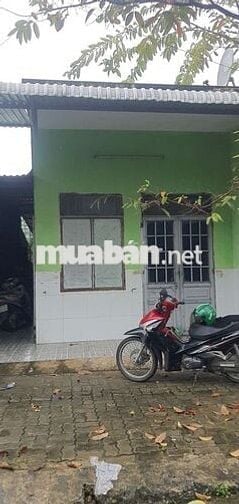 Cần Bán Dãy Trọ , Dòng Tiền 84tr 1 năm , Ngay 9 Tòa ECohome , Đang Xây