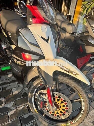 sirus zin kiểng đẹp