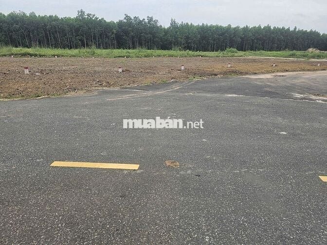 Bán đất thổ cư Phước Long Thọ sỉ 13 lô cách biển Lộc An 4km chỉ 630tr