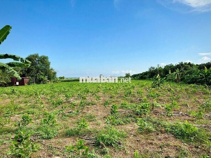 ĐÁT GIÁP HỒ TRỊ AN LA NGÀ ĐỒNG NAI