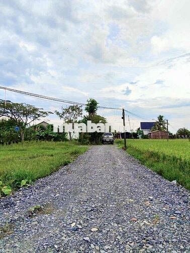 Đất Đức Hoà Thượng 5x22m giá 520tr