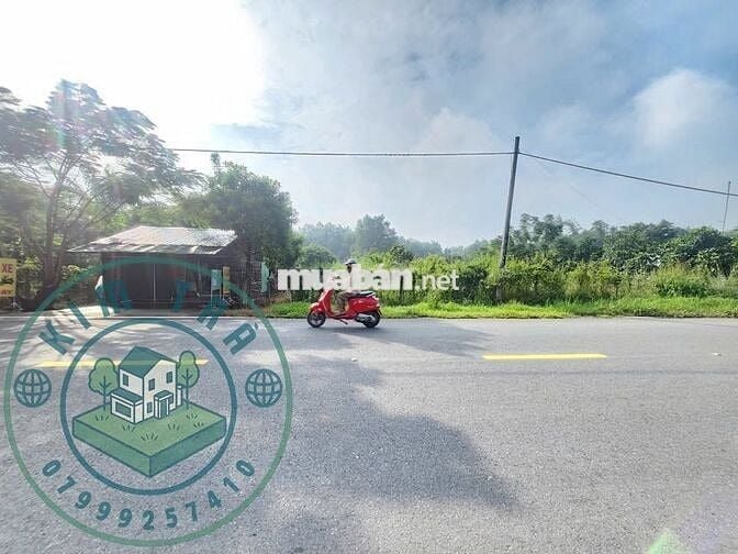 Anh Tư cần bán gấp 270m2 đất thổ ở Phước Vĩnh An – Giá 830tr