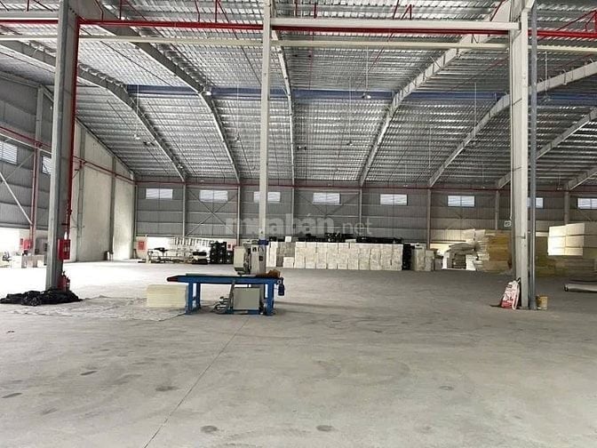 Cho thuê 3 kho trong KCN Thuận Đạo , Cần Đước, Long An , PCCC tự động 
