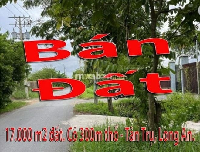 Cần Bán 17.000 m2 Đất có 300 m2 thổ cư Quê Mỹ Thạnh, Tân Trụ, Long An