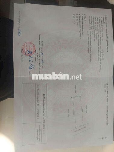 Hàng hiếm tại Dân Hạnh đặng cương an dương (cũ)