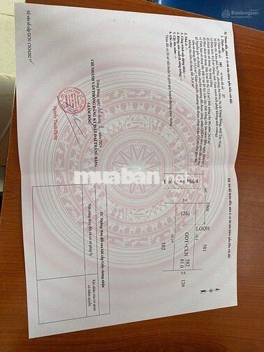 CHÍNH CHỦ: Nhà đường An Phú 4, Tx Trảng Bàng, 5x16=81m2 SHR, Giá 880tr