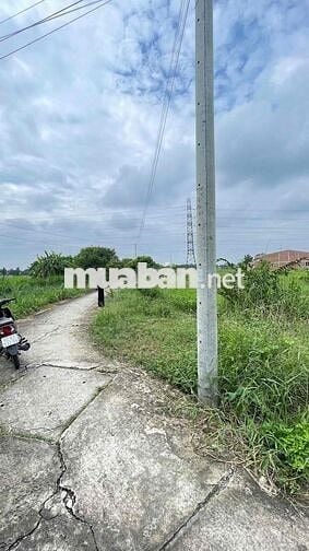 Chính chủ bán sỉ lẻ 5 lô đất Phường 5, Tân An