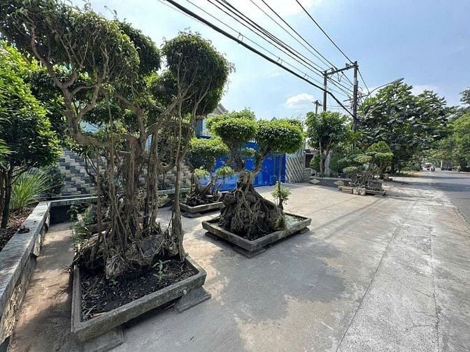 Nhà xưởng 2MT trước sau đường Thanh Niên, X Phạm Văn Hai, H. Bình Chán