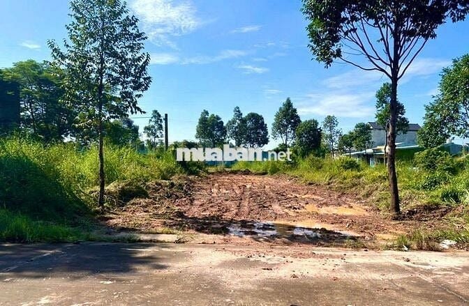 Bán Đất Giá Rẻ Thới Hòa Bến Cát 750tr 150m2.Đường lớn gần chợ