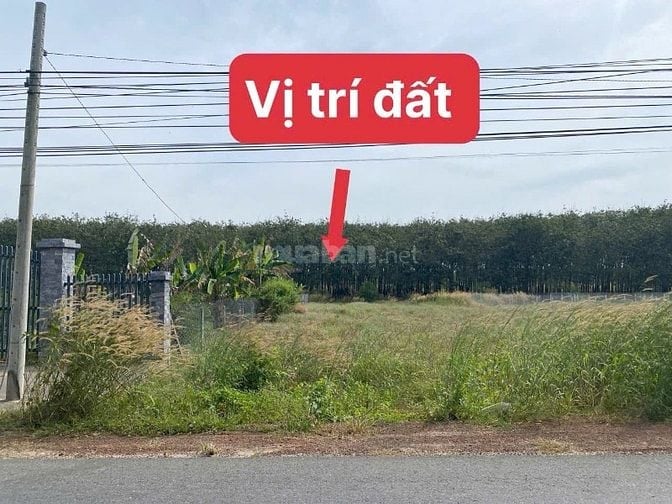 Mặt tiền tỉnh lộ 744 Minh Thạnh - Tp.HCM , 10m mặt tiền giá cực tốt.