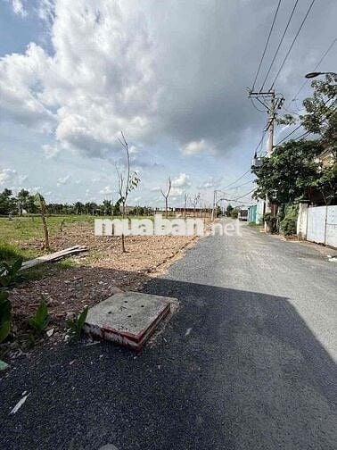 BÁN 4 sổ 5x22m sau chợ xuân thới thượng Hóc Môn Giá 3ty6