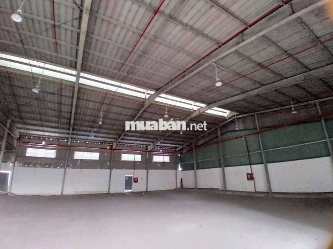 Kho đẹp cần cho thuê gấp diện tích 500m2 ở Đường Đào Trí đường cont