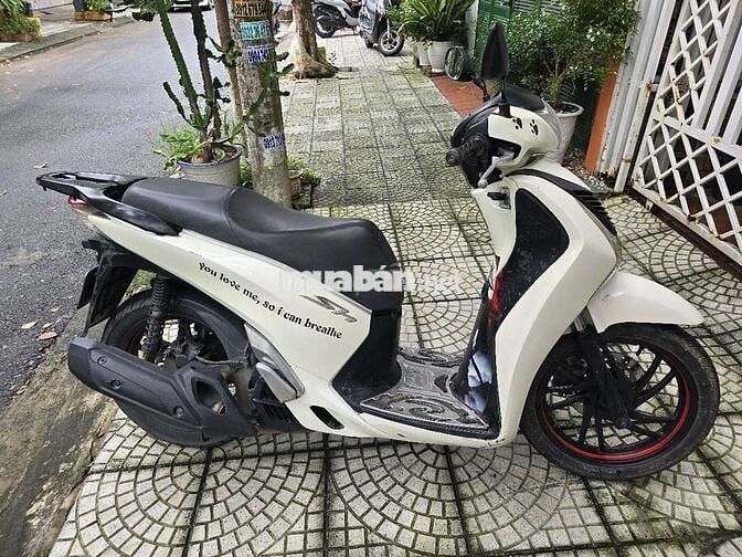 Honda SH 150i 2013 Trắng