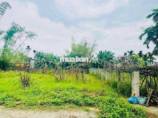 Chính chủ cần ra gấp lô đất trước tháng 12 tại Thị Xã Điện Bàn