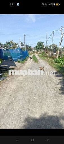 Bán đất phường điện bàn bắc gần vành đai