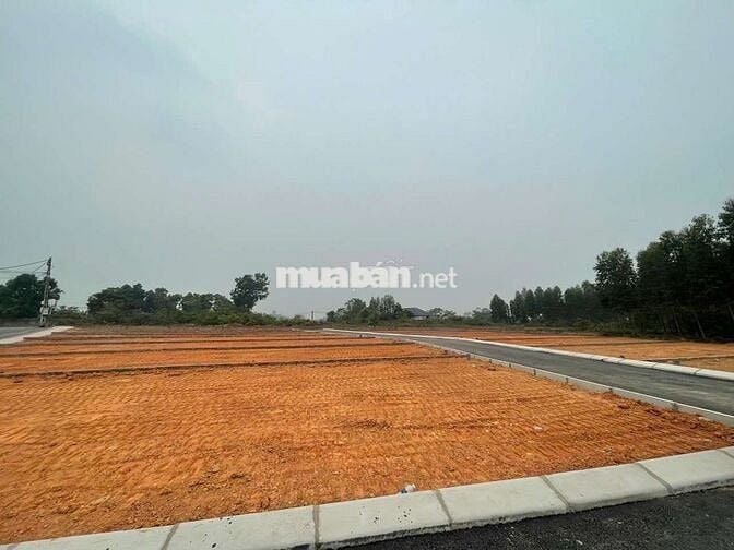 Đất F0 tìm chủ đầu tư Yên Sơn sát KCN Tam Dương , đường 2 oto tránh