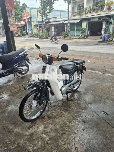 Honda Cub 81 86 Xanh trắng