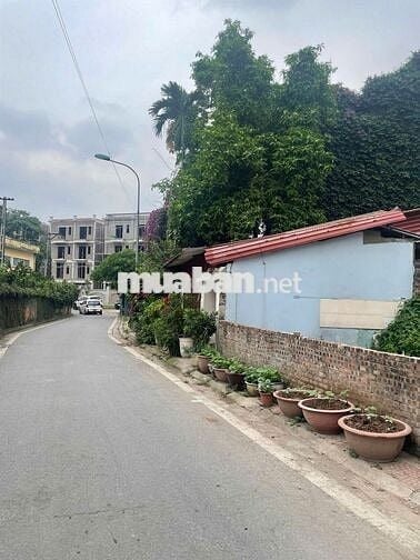 Chính chủ bán đất có sổ- 100m2( chia 2 sổ đỏ)- Không qua môi giới.