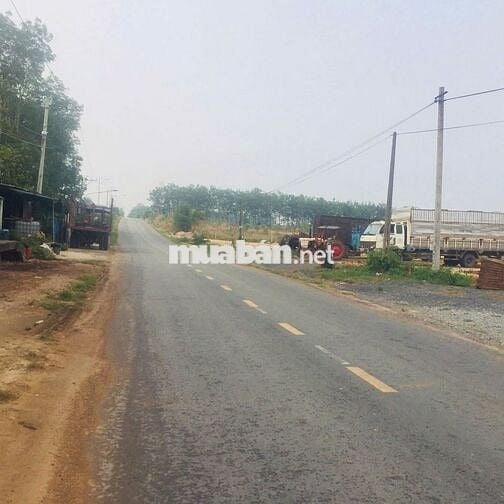 Bán Rẻ Đất Lai Uyên Bàu Bàng 450tr 265m2.Gần chợ đường lớn