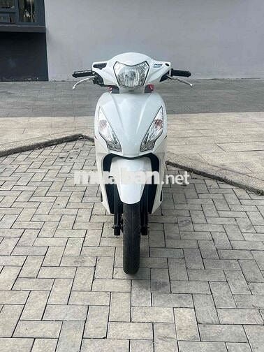 vison 2019 bstp chính chủ