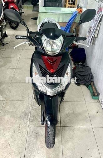 vison 2016 đen bóng