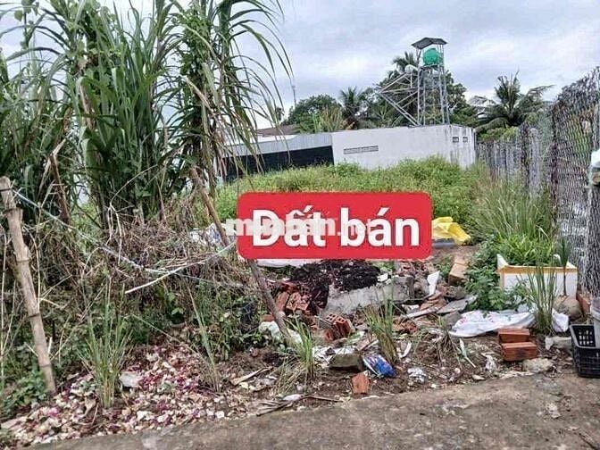 Bán cắt lỗ đất nền full thổ Phong Thuận, Tân Mỹ Chánh cách QL50 200m