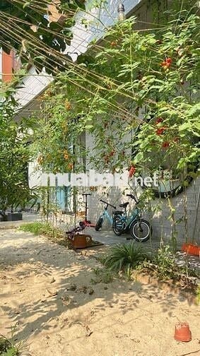 Cho thuê biệt thự tại Nam Hòa Xuân, Đà Nẵng