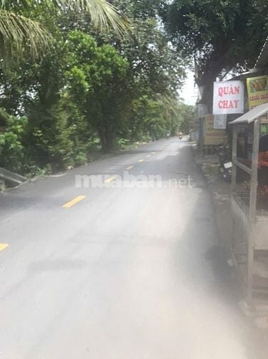 ÁN 7000m² ĐẤT TẠI TÂN NHỰT, BÌNH CHÁNH