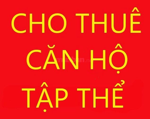 Cho thuê căn hộ tập thể tầng 1, nhà 103 ngõ 32 phố Hào Nam - Đống Đa