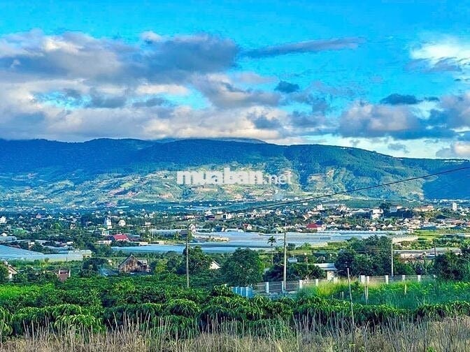 Cần bán gấp lô đất sát homestay Ovi farm giá 980 triệu