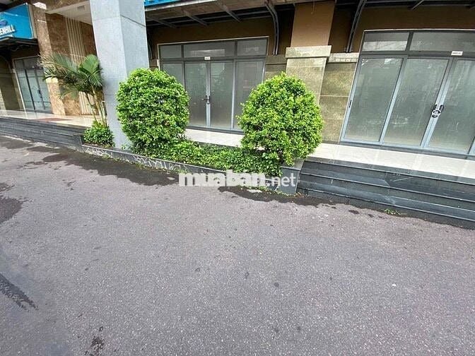 📢📢Cần bán shophouse chung cư thịnh phát Diện tích từ  70m2