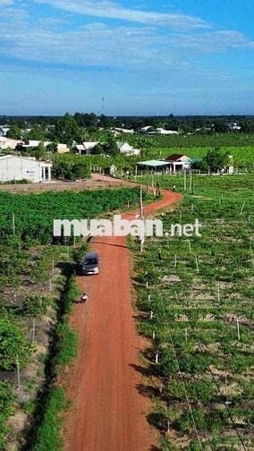 Sản Phẩm Đẹp Gần Khu Du Lịch Núi Bà