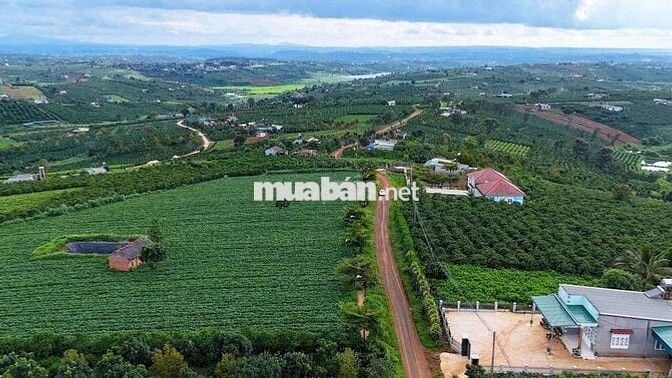 BÁN LÔ ĐẤT 1000m²  – TÂN HÀ, LÂM HÀ
Giá chỉ 750 triệu