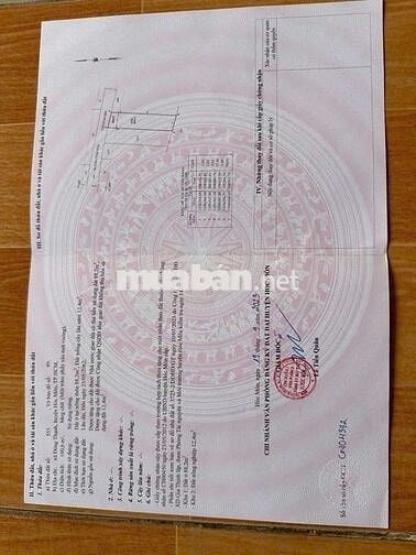 ĐẤT BÙI CÔNG TRỪNG, DT:100m2 THỔ CƯ, SỔ HỒNG RIÊNG, CHỈ 3.15 TY