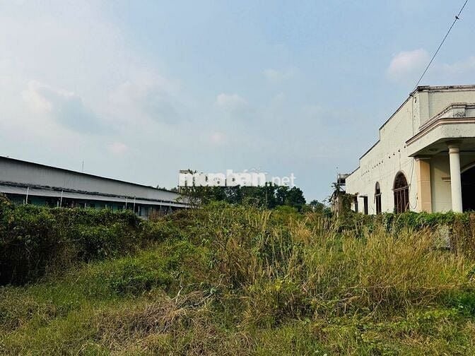 ALO ALO !!!LÔ ĐẤT MẶT TIỀN BÙI THỊ HE VỊ TRÍ ĐẸP GIÁ NGỘP ,SHR