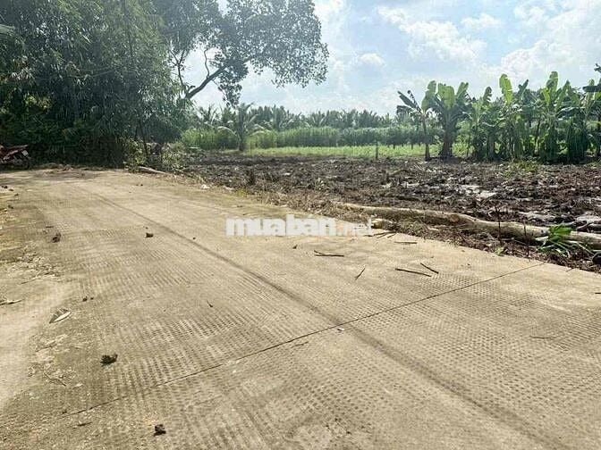 Bán 2000 m2 đất trồng cây lâu năm sát bên chợ kỳ Son đường Đan 4 m