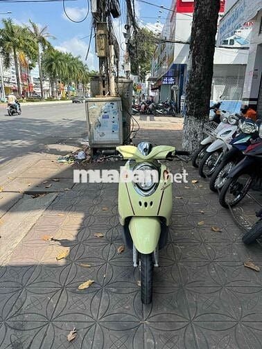 MIO CLASSICO (2011) BS:83P1:SÓC TRĂNG