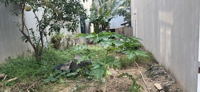 Bán Đất - Mai Đình -Sóc Sơn - 73M2 Full Thổ Cư - 2,6 Tỷ