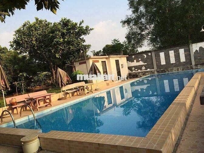 Biệt thự vườn 2.700m² Tân Thông Hội, Củ Chi - Giá thuê rẻ 20Tr, hồ bơi