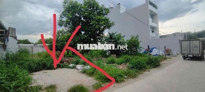 Đất Hưng Định Thuận An Nhà Thờ Búng.đường 4m xây trọ 6x34,5 thổ 120m