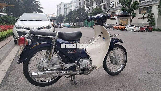 Honda Cub Xanh đậm, Trắng